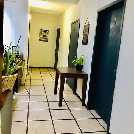 Posada " El Jardin" Xilitla Ngoại thất bức ảnh